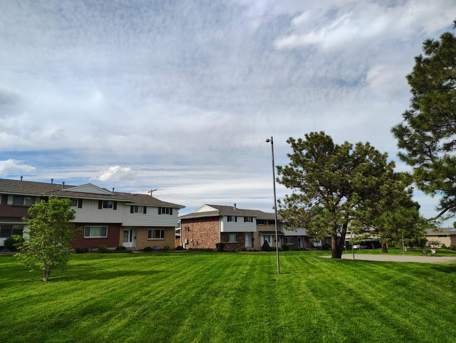 Standard Lawn Mowing Service - After